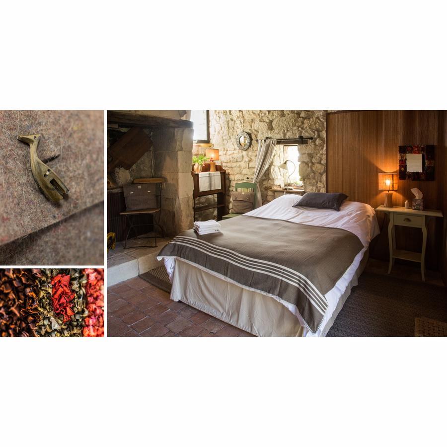 Bed and Breakfast La Grande Maison d'Arthenay à Saumur Extérieur photo